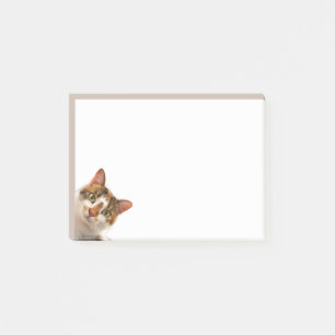 Lustige Katze Kätzchen schaut dich an Süßes Tier S Post-it Klebezettel