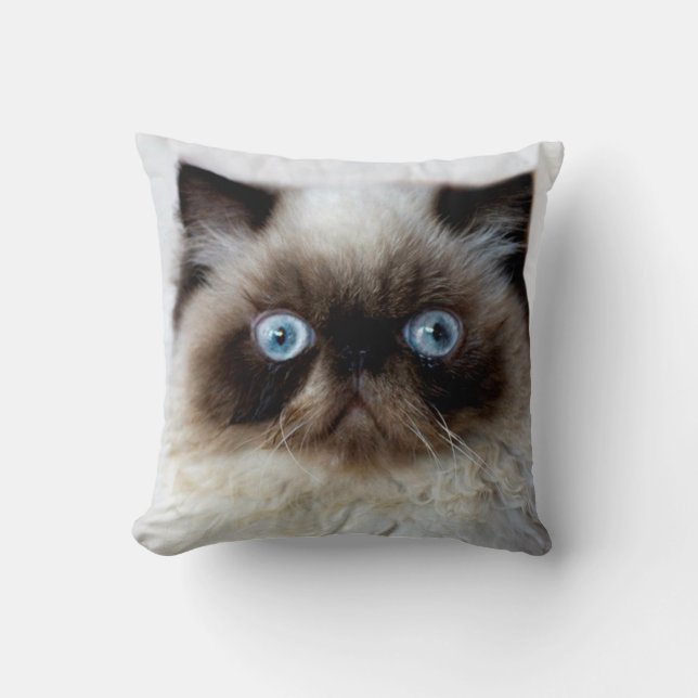 Lustige Katze Kissen (Vorderseite)