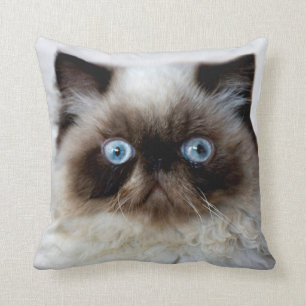 Lustige Katze Kissen