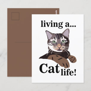 Lustige Katze Kitty Postkarte