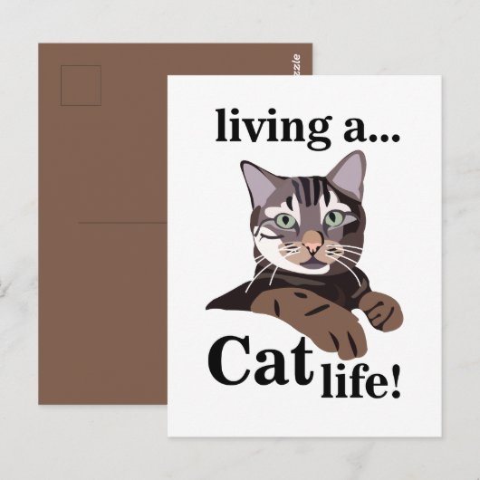 Lustige Katze Kitty Postkarte (Vorne/Hinten)