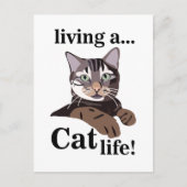 Lustige Katze Kitty Postkarte (Vorderseite)