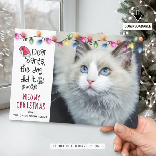 Lustige Katze LIEBER SANTA Weihnachtsbeleuchtung F Feiertagskarte