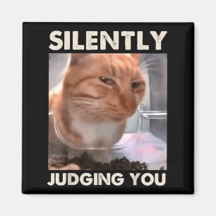 Lustige Katze Meme Humor Katze beurteilt dich schw Magnet