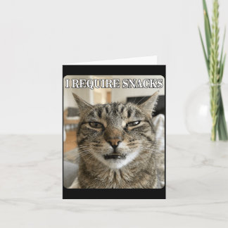 Lustige Katze Meme Lustig Brauche Snacks Design Mä Karte
