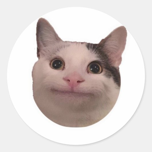 lustige Katze Meme Runder Aufkleber (Vorderseite)