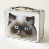 Lustige Katze Metall Brotdose (Rückseite)