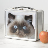 Lustige Katze Metall Brotdose (Beispiel)