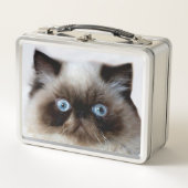 Lustige Katze Metall Brotdose (Vorderseite)