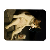 Lustige Katze mit Zigarette Gen Z Meme Magnet (Horizontal)