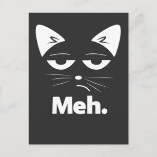 Lustige Katze Sarkastisches Kitten Meh Postkarte