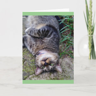 Lustige Katze TENS-Einheit Karte