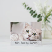 Lustige Katze Text Postkarte (Stehend Vorderseite)