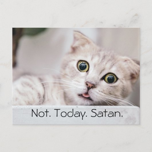 Lustige Katze Text Postkarte (Vorderseite)
