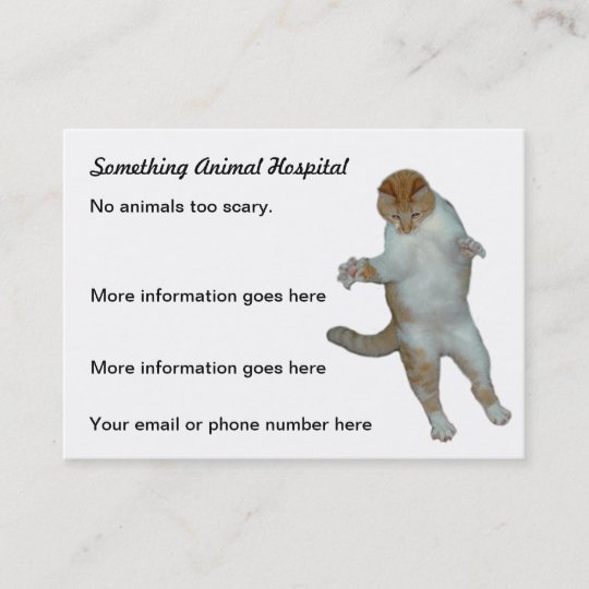 Lustige Katze Tierarzt Tierarzt Visitenkarten Visitenkarte Zazzle De