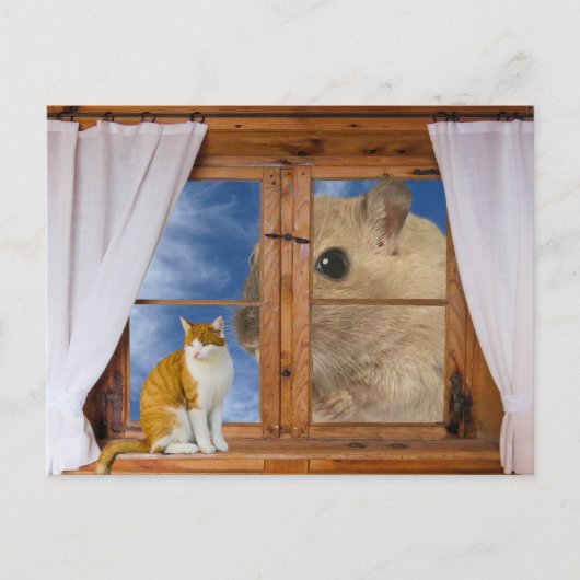 Lustige Katze und Maus Postkarte (Vorderseite)
