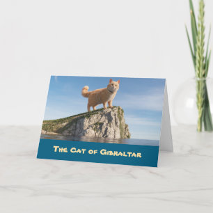 Lustige Katze von Gibraltar Karte