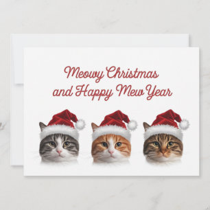 Lustige Katze Weihnachten Miauen mit Weihnachtsmüt