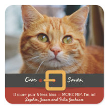 Lustige Katze Weihnachten Sankt mehr Schnurren
