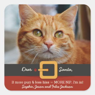 Lustige Katze Weihnachten Sankt mehr Schnurren Quadratischer Aufkleber
