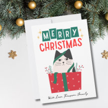 Lustige Katze Weihnachtsbaum 2 Foto Meowy Benutzer