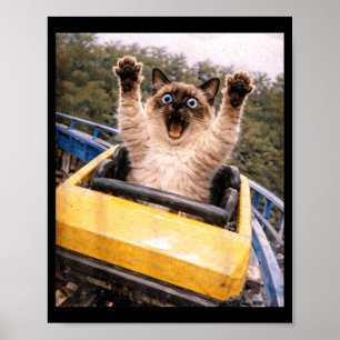 Lustige Katzen-Achterbahn-Albernes-Meme-Grafik Poster
