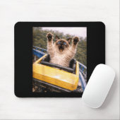 Lustige Katzen-Achterbahn Dummes Meme-Grafik Mousepad (Mit Mouse)