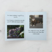 Lustige Katzen, Entschuldigung für die Isolierung Dankeskarte (Innenseite)