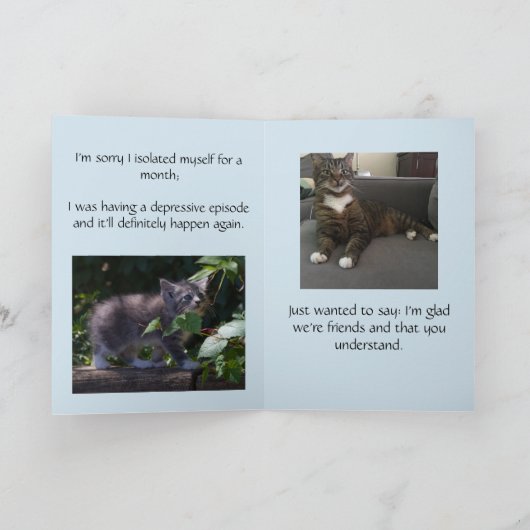 Lustige Katzen, Entschuldigung für die Isolierung Dankeskarte (Innenseite)