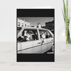 Lustige Katzen Gang Vintage Coole Feline Design Re Karte