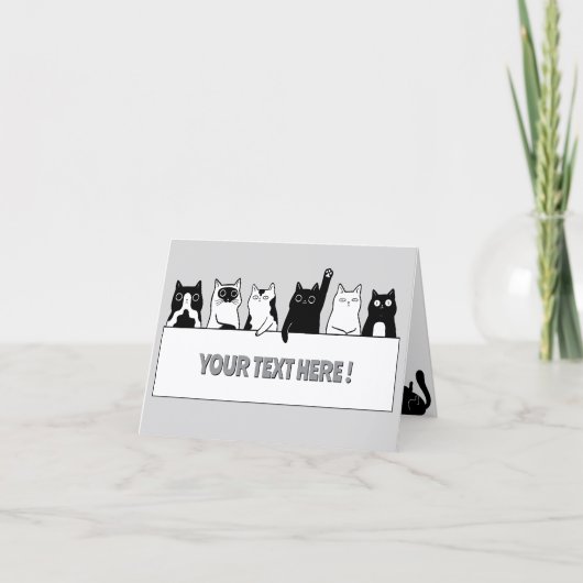 Lustige Katzen Karte (Vorderseite)