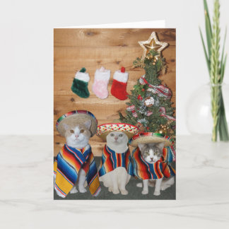 Lustige Katzen/Kätzchen Feliz Navidad Feiertagskarte