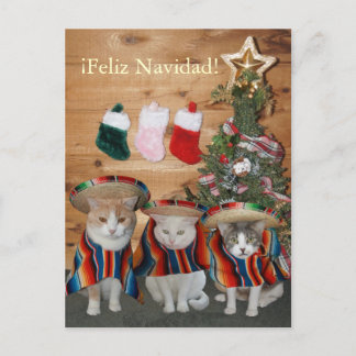 Lustige Katzen/Kätzchen Feliz Navidad Feiertagspostkarte