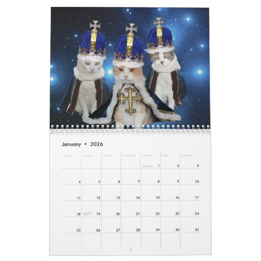 Lustige Katzen/Kätzchen Kalender (Jan 2026)