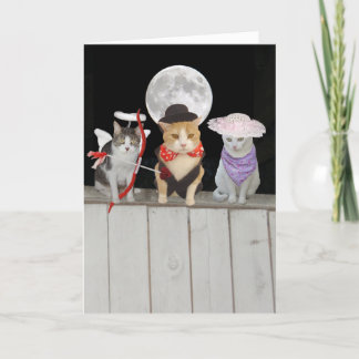 Lustige Katzen/KätzchenValentine Feiertagskarte