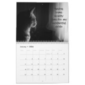 Lustige Katzen mit Catitude Kalender (Jan 2026)
