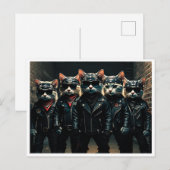 Lustige Katzen. Postkarte (Vorne/Hinten)