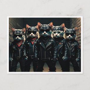 Lustige Katzen. Postkarte