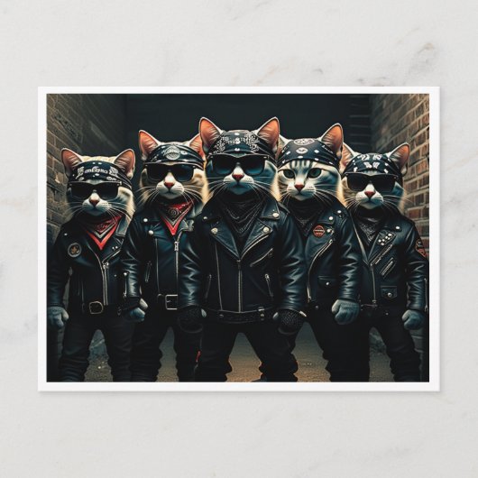 Lustige Katzen. Postkarte (Vorderseite)
