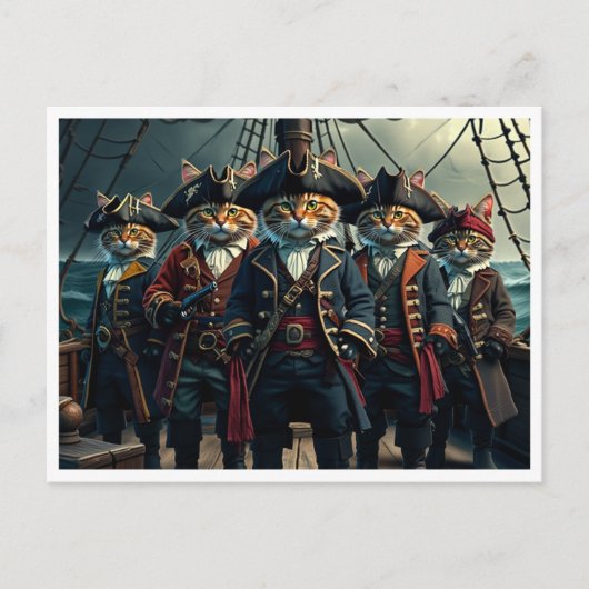 Lustige Katzen. Postkarte (Vorderseite)