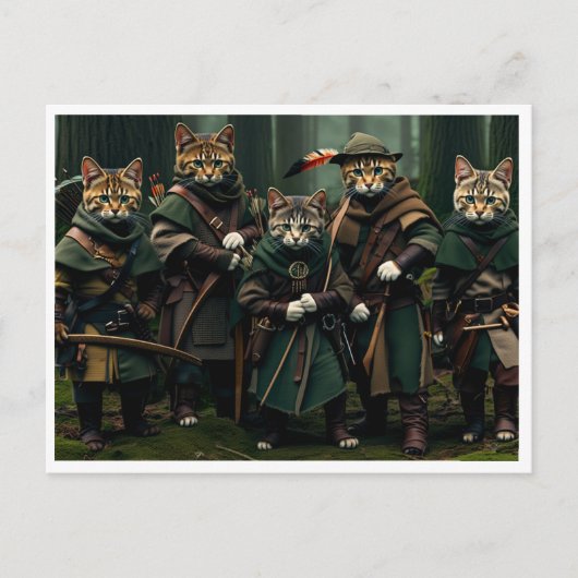 Lustige Katzen. Postkarte (Vorderseite)
