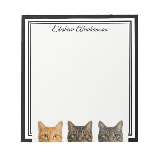 Lustige Katzen spähen Notizblock (Vorderseite)