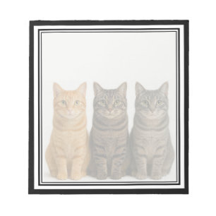 Lustige Katzen spähen Notizblock