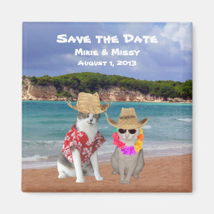 Lustige Katzen-Strand-Hochzeit Save the Date Magnet