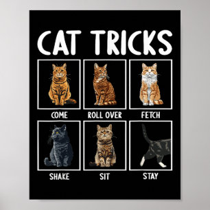 Lustige Katzen-Tricks  Poster