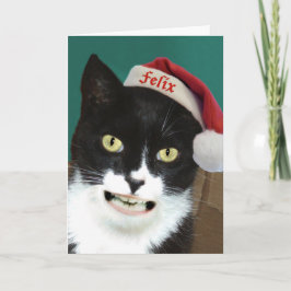 Lustige Katzen-Weihnachtskarte Feiertagskarte
