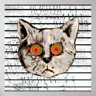 lustige Katzenspiralaugen Poster