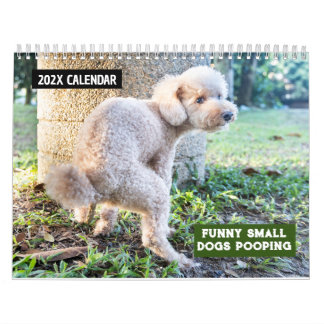 Lustige kleine Hunde, die 2027 koten Kalender