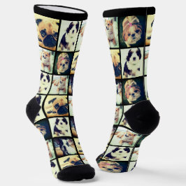 lustige Kollektion von modischen Fotos Socken