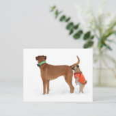 Lustige Kommunikation Geruchssinn Postkarte (Stehend Vorderseite)